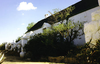 Johannes Meintjes